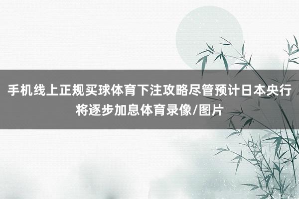 手机线上正规买球体育下注攻略尽管预计日本央行将逐步加息体育录像/图片