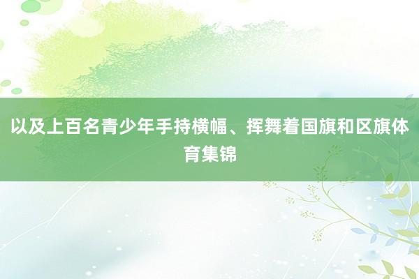 以及上百名青少年手持横幅、挥舞着国旗和区旗体育集锦