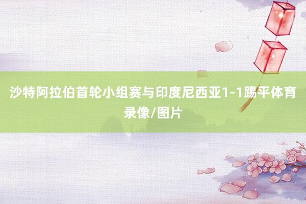 沙特阿拉伯首轮小组赛与印度尼西亚1-1踢平体育录像/图片