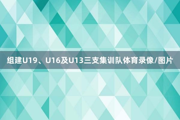 组建U19、U16及U13三支集训队体育录像/图片