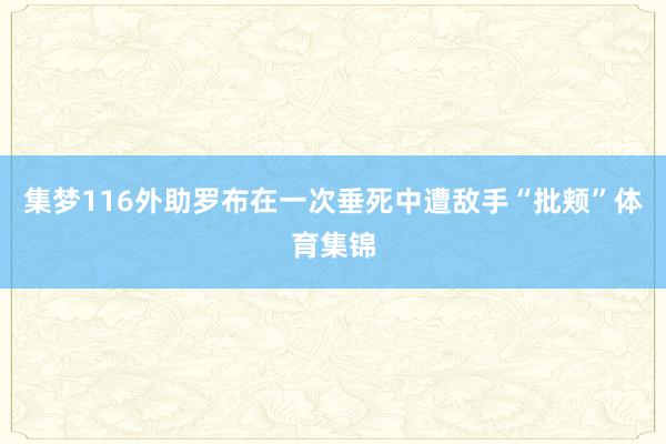 集梦116外助罗布在一次垂死中遭敌手“批颊”体育集锦